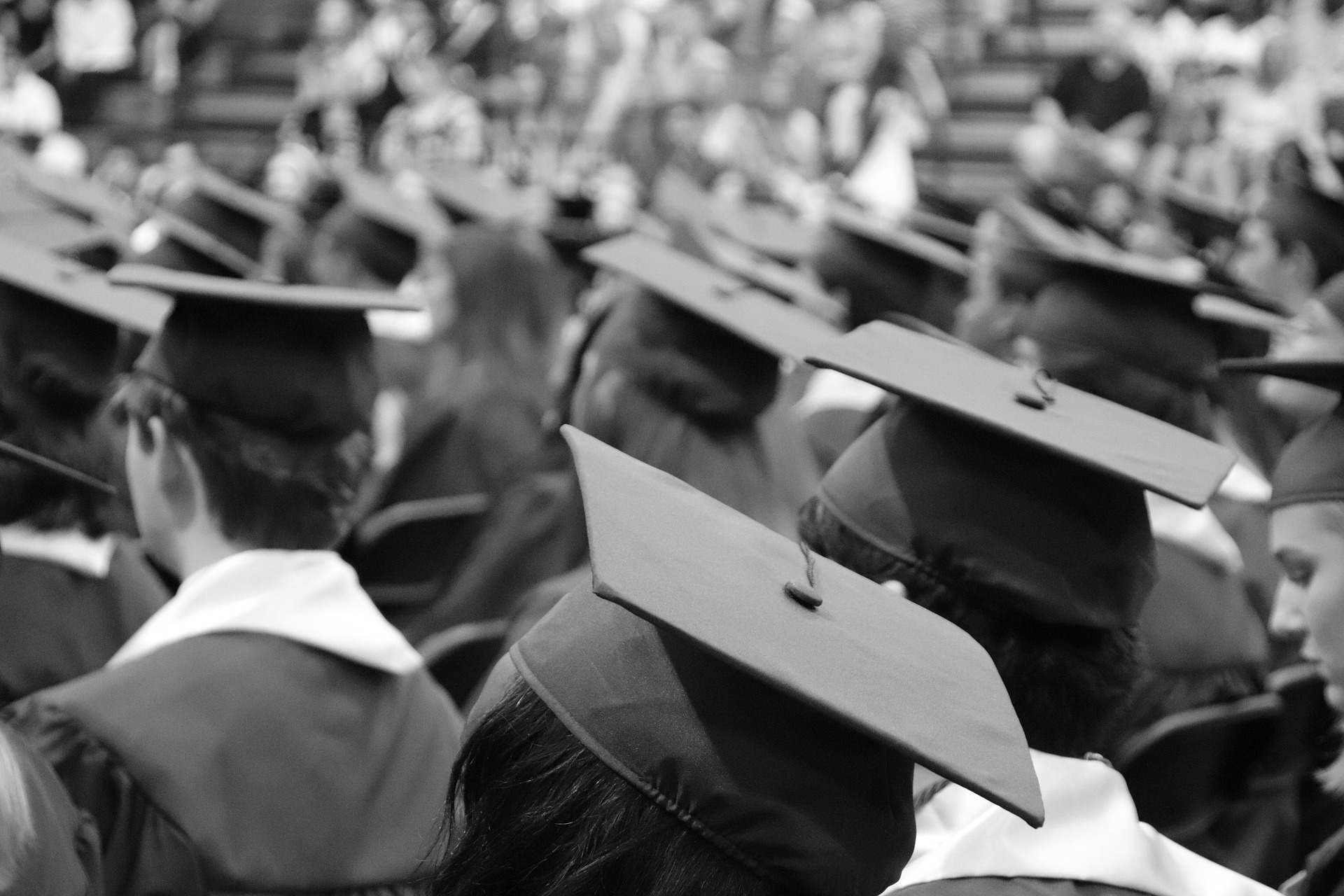 Harvard graduation